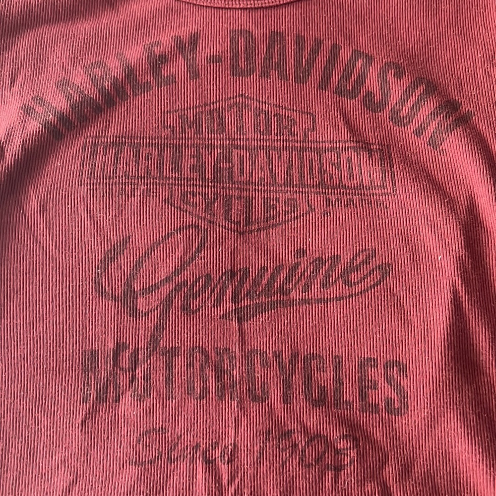Harley scoopneck tee - Picture 3 of 3